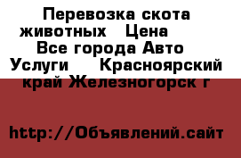 Перевозка скота животных › Цена ­ 39 - Все города Авто » Услуги   . Красноярский край,Железногорск г.